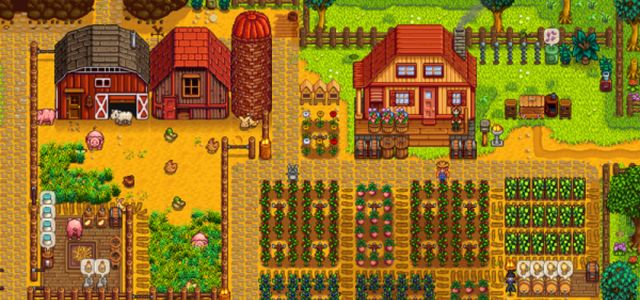 Где взять кокос stardew valley